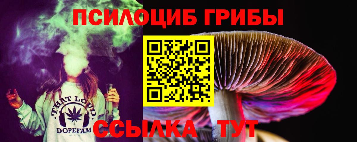 Кирово-Чепецк  Псилоцибиновые грибы Psilocybine cubensis  Вход с VPN 