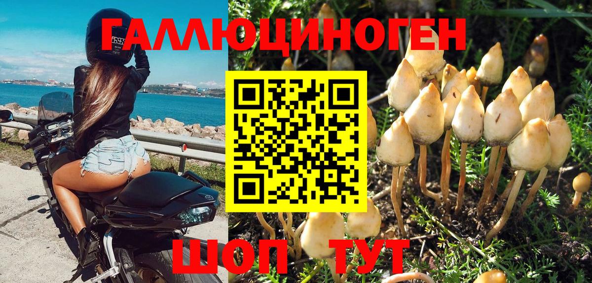 Псилоцибиновые грибы Cubensis Кирово-Чепецк